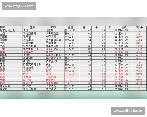 114预测五大联赛走势数据模型深度解析与赛季前瞻指南全书